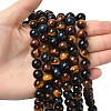 Natural Tiger Eye Beads Strands X-G-F173-14-10mm-3