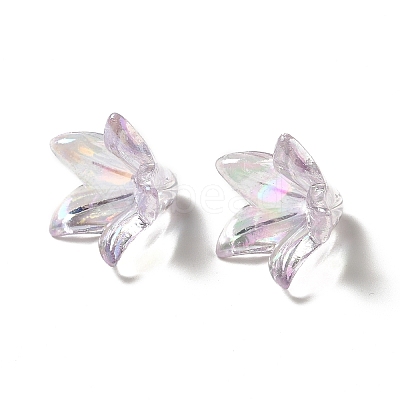 Transparent Acrylic Bead Caps OACR-H016-05B-1