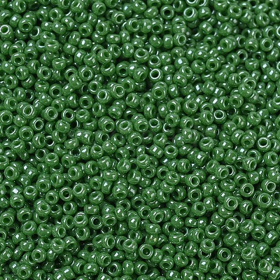MIYUKI Round Rocailles Beads X-SEED-G007-RR0431-1