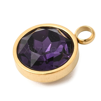Birthstone Theme February 304 Stainless Steel Pendants STAS-K239-01G-A02-1