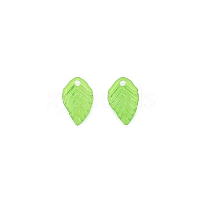 Transparent Acrylic Charms TACR-T012-04-1