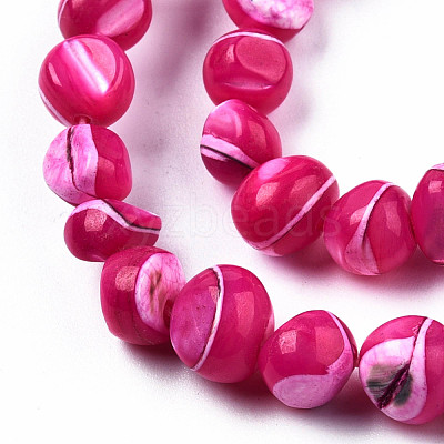 Natural Trochid Shell/Trochus Shell Beads Strands SSHEL-N032-48-A06-1