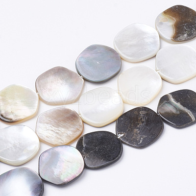 Black Lip Shell Beads Strands BSHE-T002-02-1