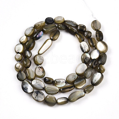 Natural White Shell Beads Strands SHEL-N036-21-1