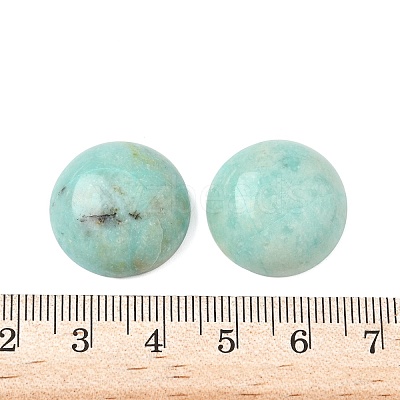 Natural African Turquoise(Jasper) Cabochons G-A265-01C-1