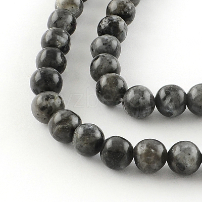 Natural Larvikite Round Beads Strands LS-G-R342-10mm-09-1