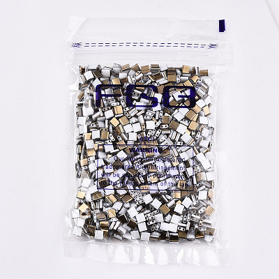 FGB 2-Hole Glass Seed Beads SEED-S031-L-ST41-G-1