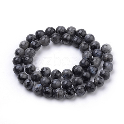 Natural Larvikite Beads Strands G-S259-06-8mm-1