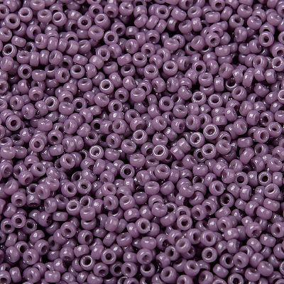MIYUKI Round Rocailles Beads X-SEED-G009-RR4489-1