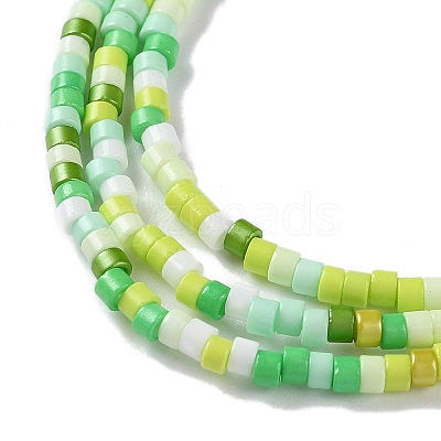 Handmade Lampwork Beads Strands LAMP-L078-008-1
