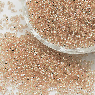 8/0 Round Glass Seed Beads SEED-J018-F8-72-1