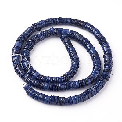 Shell Beads Strands SSHEL-E571-49F-1