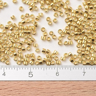 MIYUKI Delica Beads SEED-X0054-DB0031-1