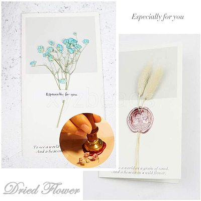 DIY Scrapbook AJEW-CP0002-01S-1