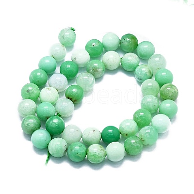 Natural Chrysoprase Beads Strands G-K245-A12-07-1