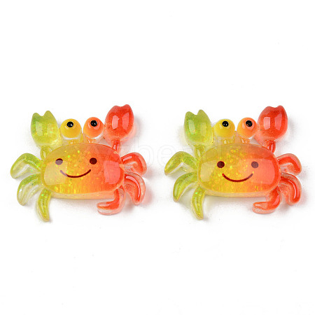 Rainbow Resin Cabochons LS-X-CRES-N024-40-1