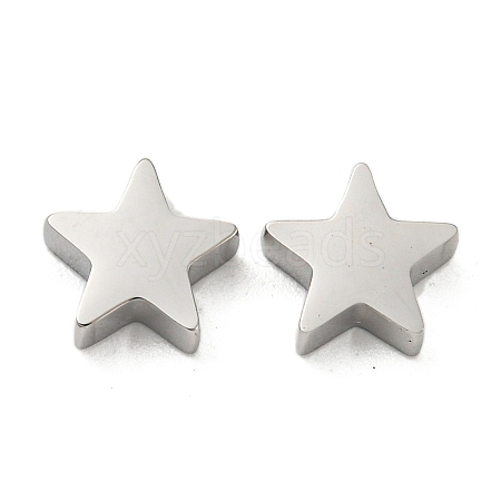 304 Stainless Steel Charms STAS-L022-216P-1