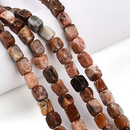 Natural Brecciated Jasper Beads Strands G-T141-30-1