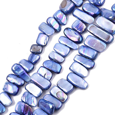 Natural Freshwater Shell Beads Strands SHEL-N026-123G-1