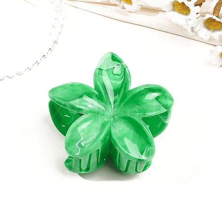 Resin Claw Hair Clips PW-WG0E0E6-03-1