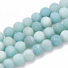 Natural Amazonite Beads Strands G-T106-190-1