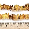 Natural Amber Beads Strands G-L095-D01-01-5