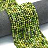 Natural Serpentine Beads Strands G-A260-A15-01-1