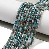 Natural Blue Apatite Beads Strands X-G-P457-B01-14B-1