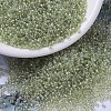 MIYUKI Round Rocailles Beads SEED-JP0008-RR1135-1