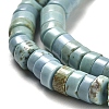 Natural Turquoise Beads Strands G-M422-C01-01-4