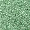 TOHO Round Seed Beads X-SEED-TR11-0354-2