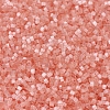 MIYUKI Delica Beads SEED-X0054-DB0825-3