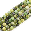 Natural Serpentine Beads Strands G-G829-06-10mm-1