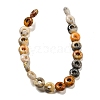 Natural Crazy Lace Agate Beads Strands G-P536-A04-01-3