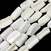 Natural Trochid Shell/Trochus Shell Beads Strands SH-CBA2978-20A-1