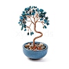 Natural Apatite Chips Tree Decorations DJEW-M012-02M-1