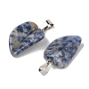 Natural Blue Spot Jasper Pendants G-B127-01P-01-3