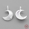 925 Sterling Silver Charms STER-G011-28MS-2