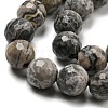 Natural Map Stone/Picasso Stone/Picasso Jasper Beads Strands G-C079-B05-02-4