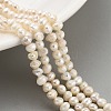 Natural Cultured Freshwater Pearl Beads Strands PEAR-C003-07A-2