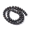 Natural Biotite Beads Strands G-L528-06C-3