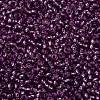 TOHO Round Seed Beads SEED-JPTR11-2219-2