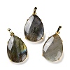 Natural Mixed Stone Pendants G-U002-01G-2