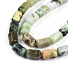 Natural Serpentine Beads Strands G-N346-01B-04-4