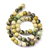 Natural Serpentine Beads Strands X-G-N166-4-4