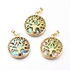 Natural Abalone Shell/Paua Shell Pendants BSHE-I014-03G-1