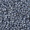 8/0 Glass Seed Beads X1-SEED-A011-3mm-149-2