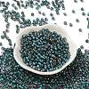 Transparent Inside Colours Glass Seed Beads SEED-H002-A-C223-2