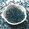 Transparent Baking Paint Glass Seed Beads SEED-P006-02B-11-2