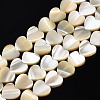 Natural Trochid Shell/Trochus Shell Bead Strands SSHEL-N034-92B-01-1